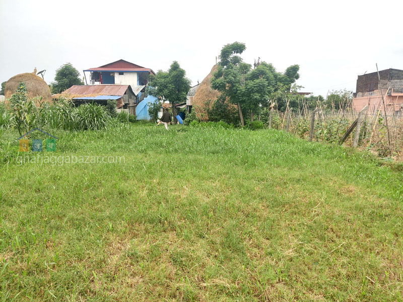 Land on Sale at Bhanuchowk